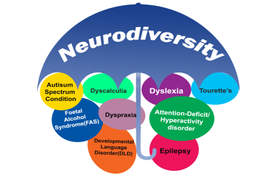 An image showing visually how Neurodiversity is an umbrella term.